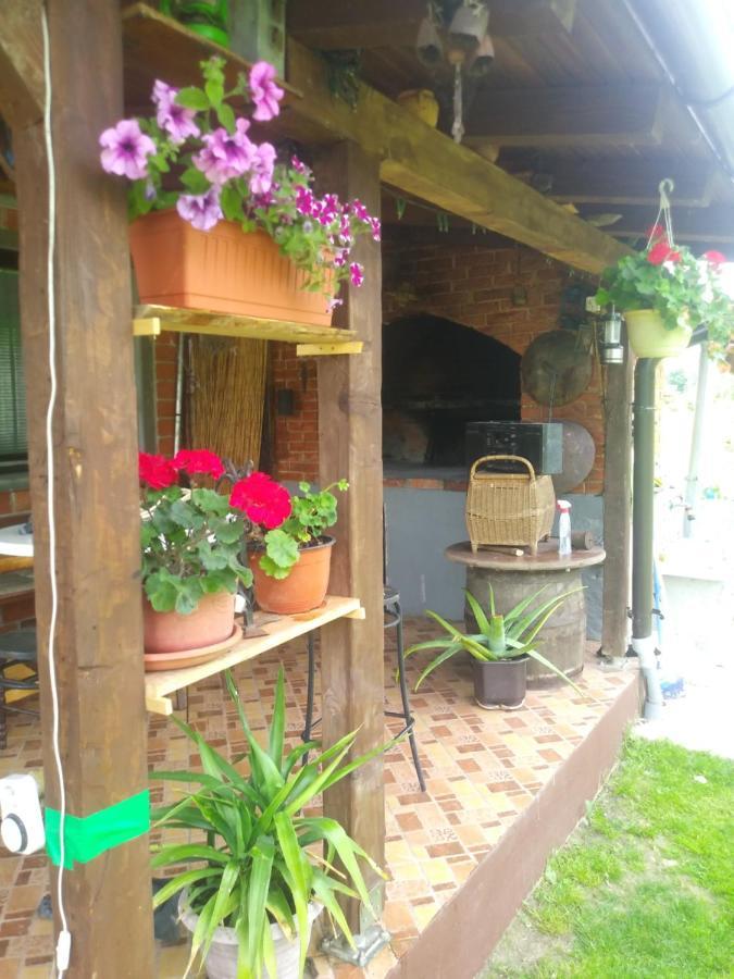 Ribarska Vila Donje Lohovo Экстерьер фото
